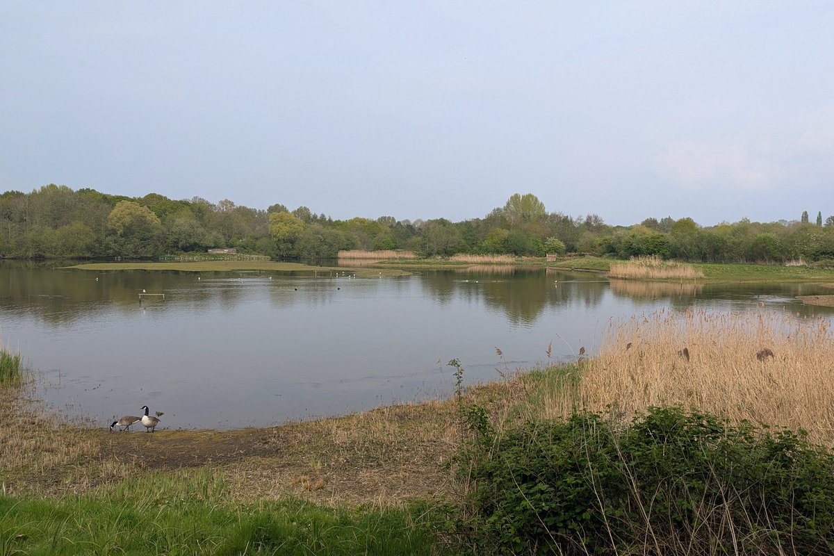 Simon Rose tweet media