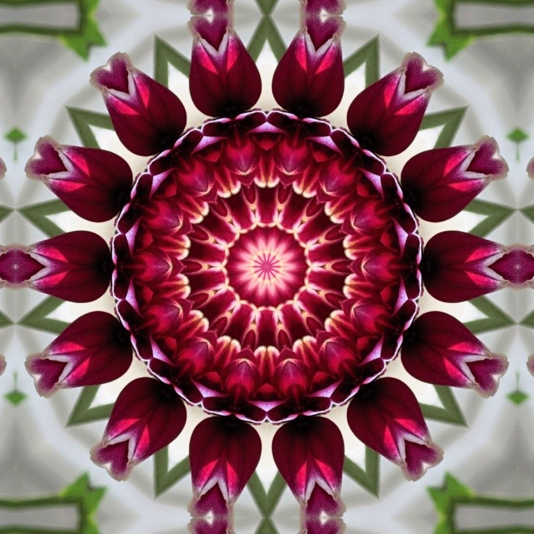 #KaleidoSaturday tweet media