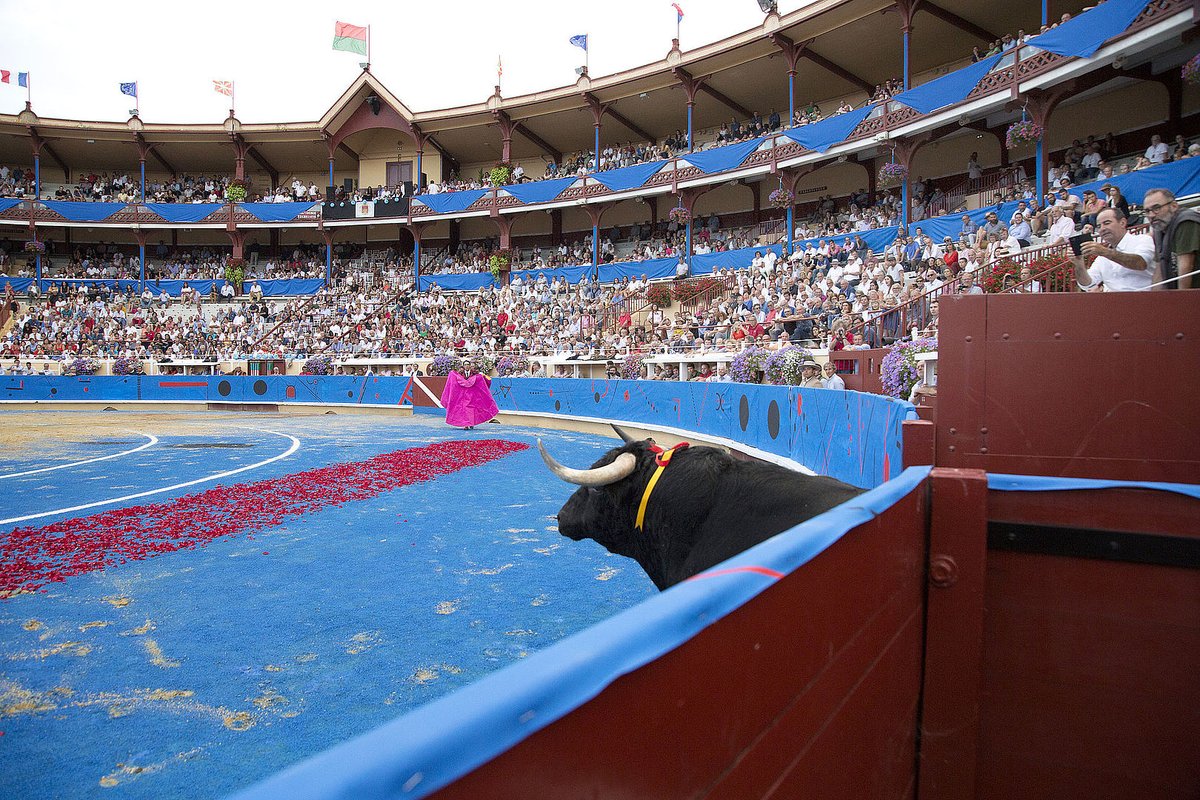 Arènes de Bayonne tweet media