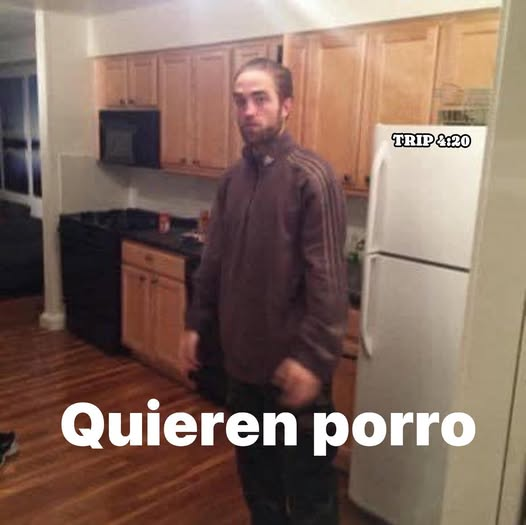 vinoypastillas's tweet photo. cuando te dicen que atiendas a las visitas: https://t.co/VVzRfBoZKL