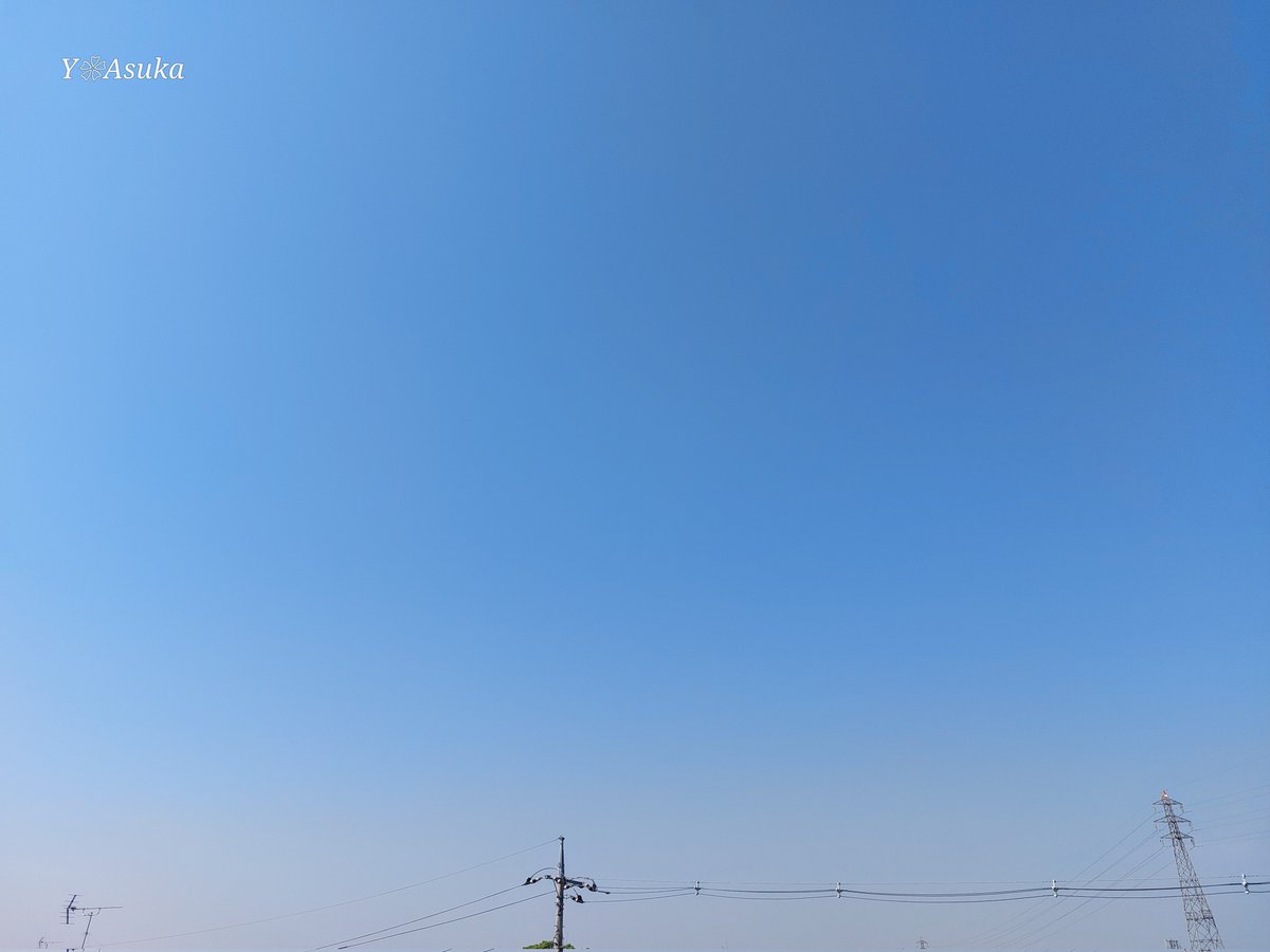 yumeasutw's tweet photo. 白っぽい #青空 にお日様燦々✨山々が霞む日曜日の朝☀️
予想最高/最低気温🌡️24℃/7℃
晴れのち曇り☀️→☁️
お洗濯日和👕👖午後は南寄りの風が吹き汗ばむ陽気に💦 夜は雲が多くなりそうです。
#イマソラ #いまそら
#空の名前 #朝空
#天気の図鑑 #雲の超図鑑
#a2025 #a0427 #a202504 #a2025045 https://t.co/Z6HlWaFiO0