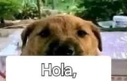 hola (@thanoshola) on Twitter photo 
