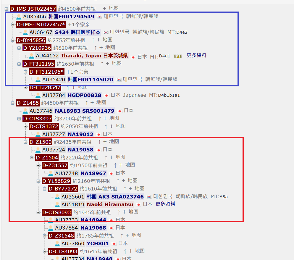 D-Z1500には4500年前に共通の祖先のサンプルがあり、朝鮮半島に頻繁に出現している。D-Z1500と上流タイプの縄文古サンプルは発見されていない（以外の他のD1a2aの支系は、古いサンプルがいっぱい）。各方面に合わせて考えると、確かに意味深い。