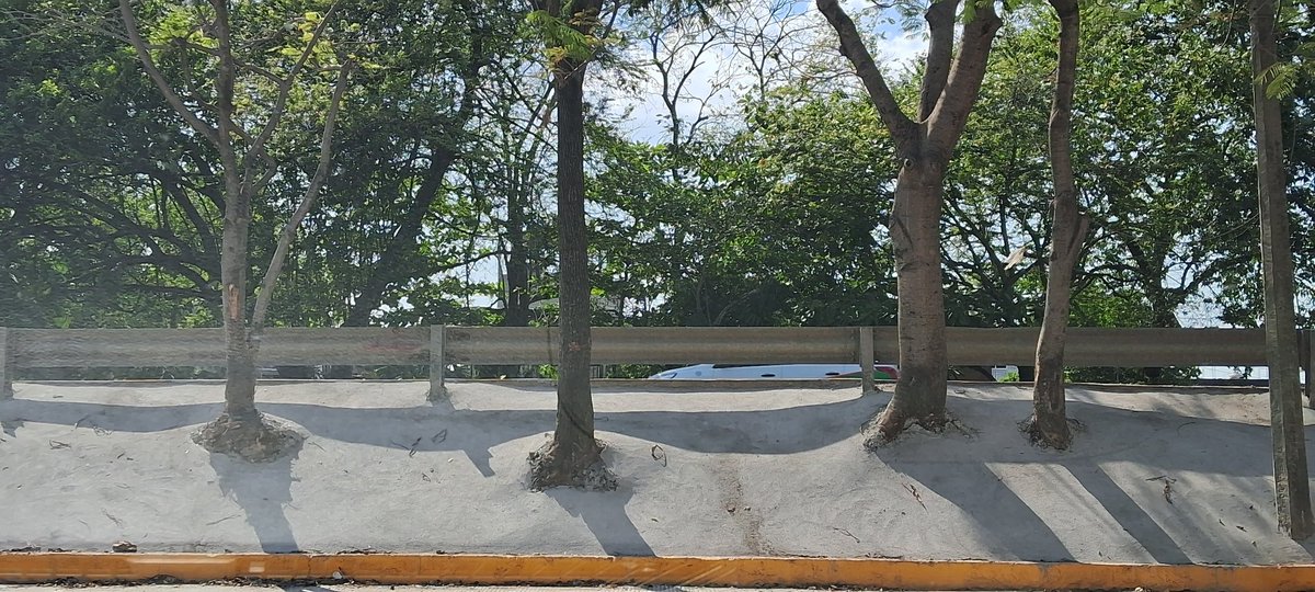 sariaso's tweet photo. Compartan hasta que llegue a las autoridades ambientales competentes.

Esto hicieron en la calle escritores por la obra del puente Grijalva... Villahermosa, Tabasco. @lopezdoriga @VILLALVAZO13 @franciscozea https://t.co/Zu6htOy97H