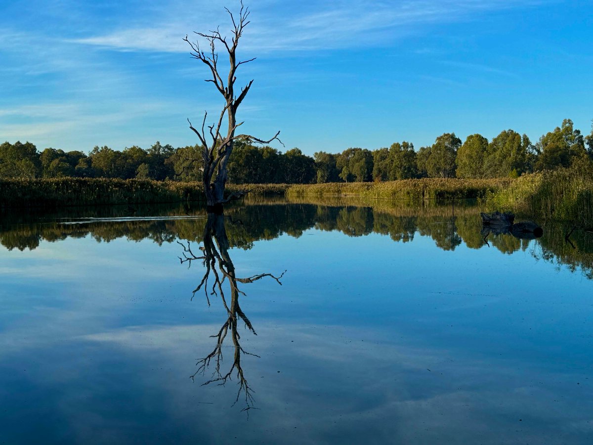 Craig Smith tweet media