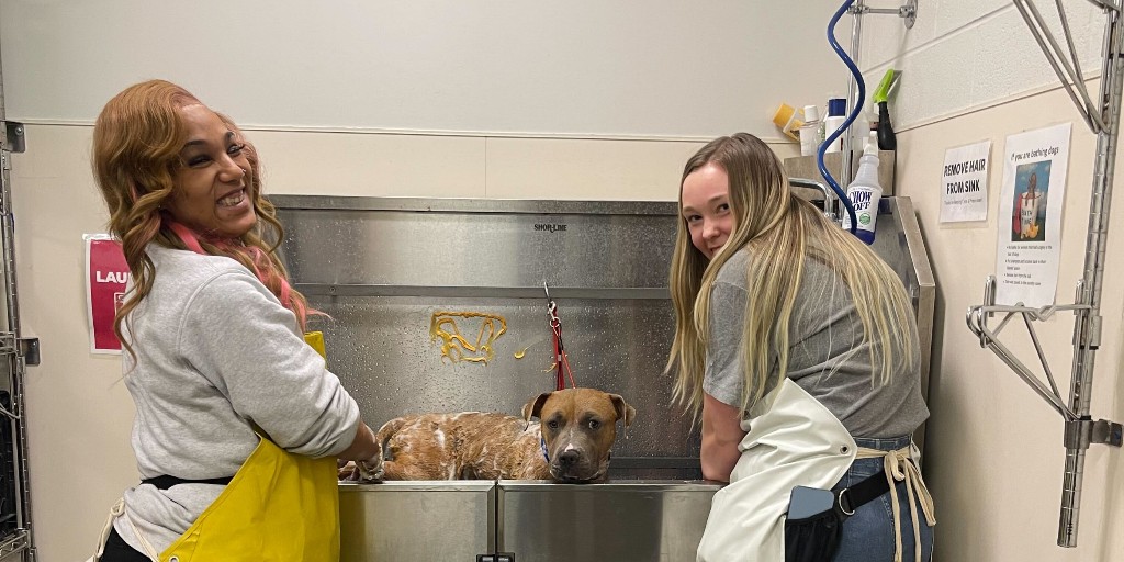 Anti-Cruelty (@anticruelty) on Twitter photo Volunteer Appreciation Week is coming to a close. But the animals didn’t get the memo.
They’re still expecting ear scratches, cuddle sessions, and someone to tell them they’re a very good boy/girl and fuzz ball.
That someone… could be you: anticruelty.org/volunteer 🐾 Volunteer Appreciation Week is coming to a close. But the animals didn’t get the memo.
They’re still expecting ear scratches, cuddle sessions, and someone to tell them they’re a very good boy/girl and fuzz ball.
That someone… could be you: anticruelty.org/volunteer 🐾