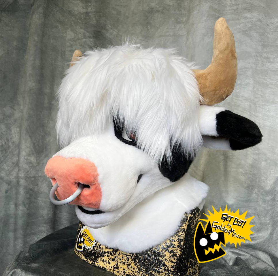 New Bull on the farm