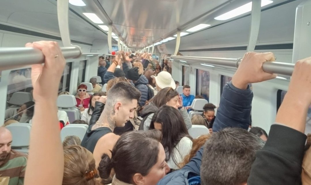 ANGOLLA13's tweet photo. Segon la llei de transport animal a Espanya: 
Per transportar un porc, ha d’haver-hi prou espai perquè el porc pugui estirar-se, ja que estar dempeus durant un llarg període de temps pot causar-los estrès i danys físics. https://t.co/XDiTc7OuQi