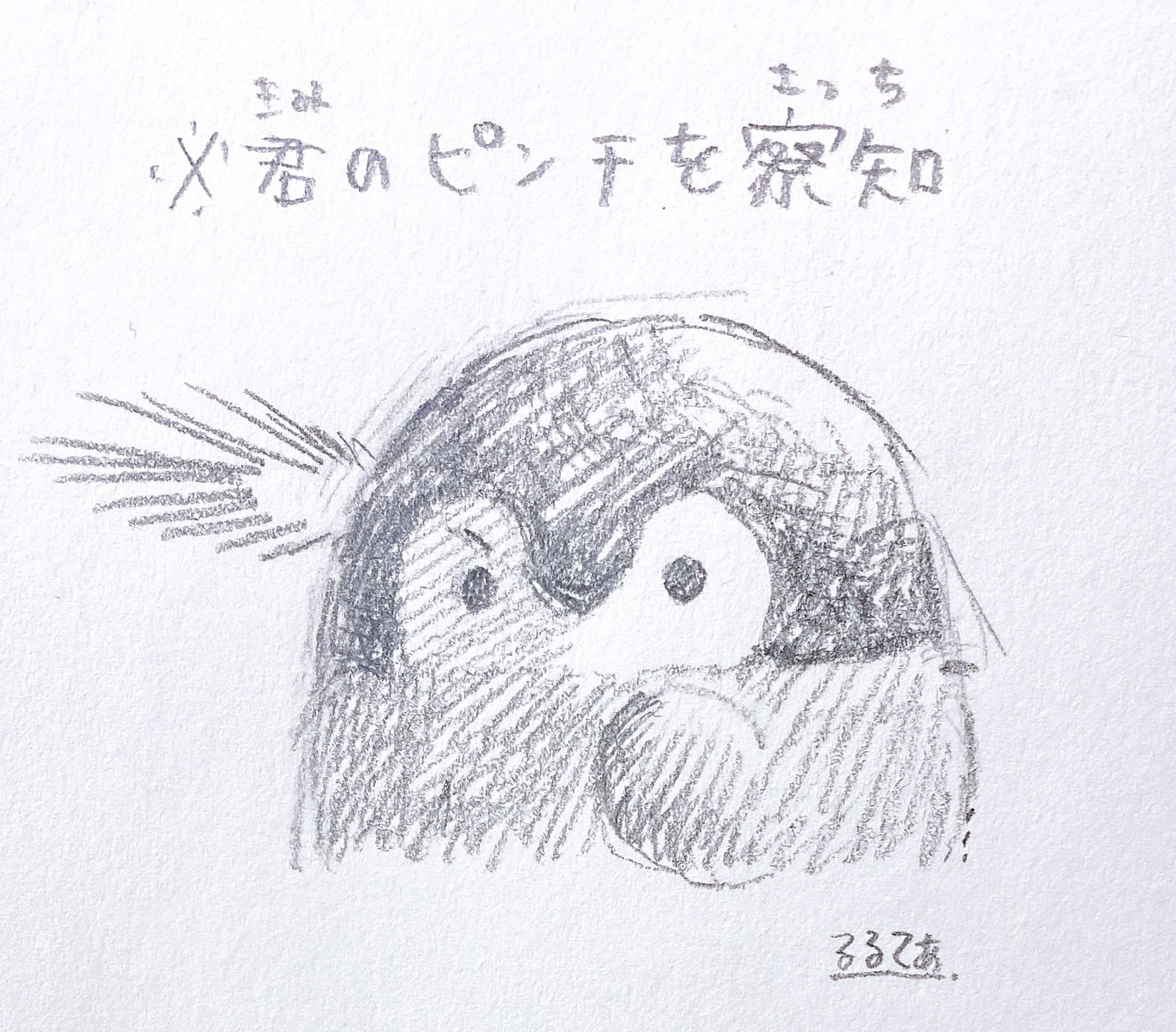 Nejzajímavější od るるてあ (@k_r_r_l_l_) / X