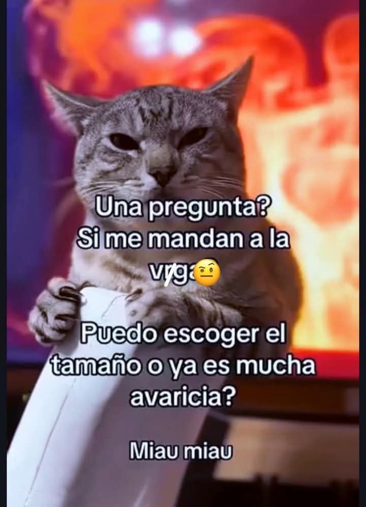 Jorge61023914's tweet photo. https://t.co/0EPyUAwEHz