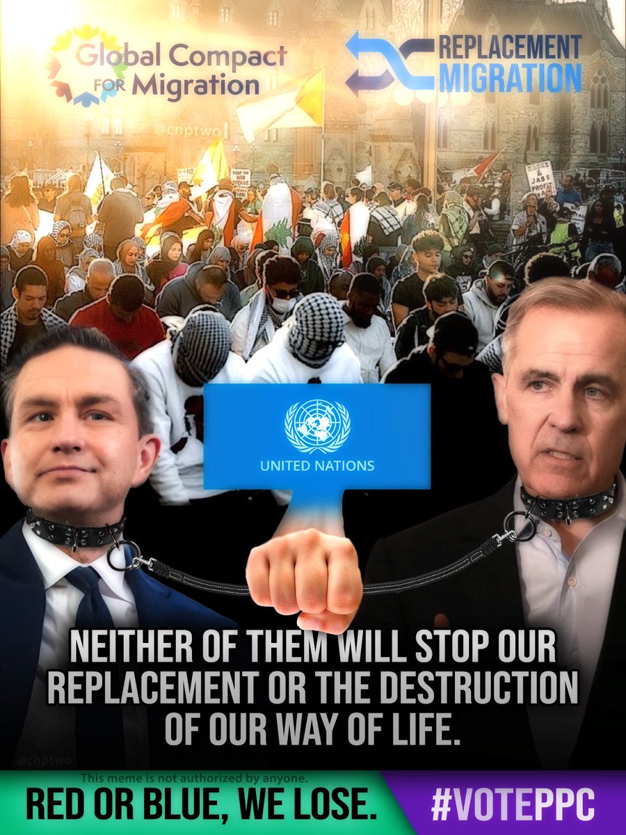 MaximeBernier's tweet image. Red or blue, we lose.