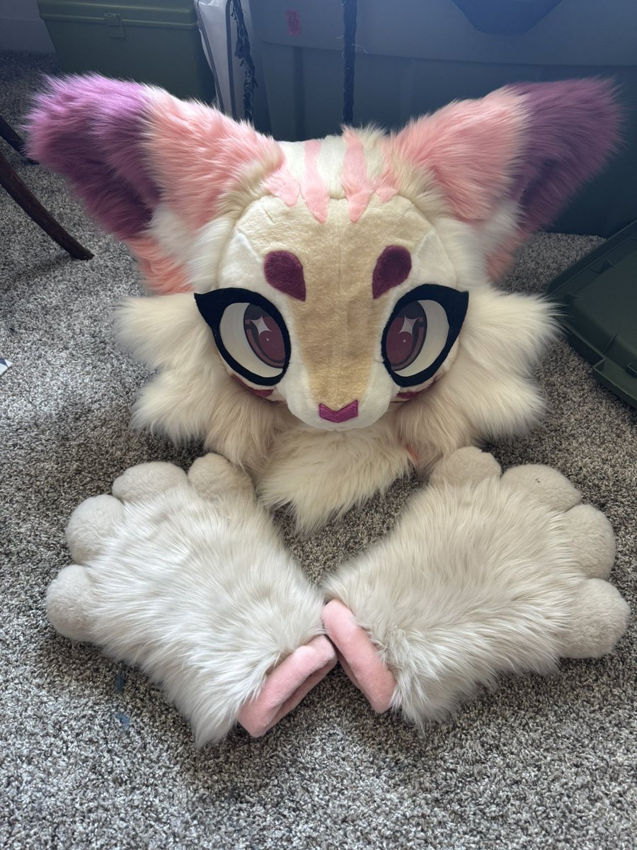 junothehare's tweet photo. Link to the auction for Cal, $1 starting bid!!!

https://t.co/MVX2IFrB67 https://t.co/TJoRniCNGo