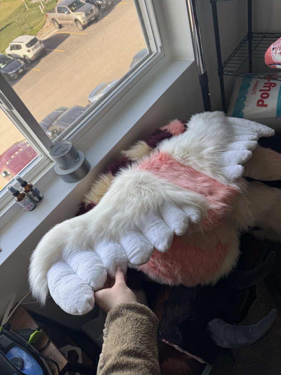 junothehare's tweet photo. Link to the auction for Cal, $1 starting bid!!!

https://t.co/MVX2IFrB67 https://t.co/TJoRniCNGo