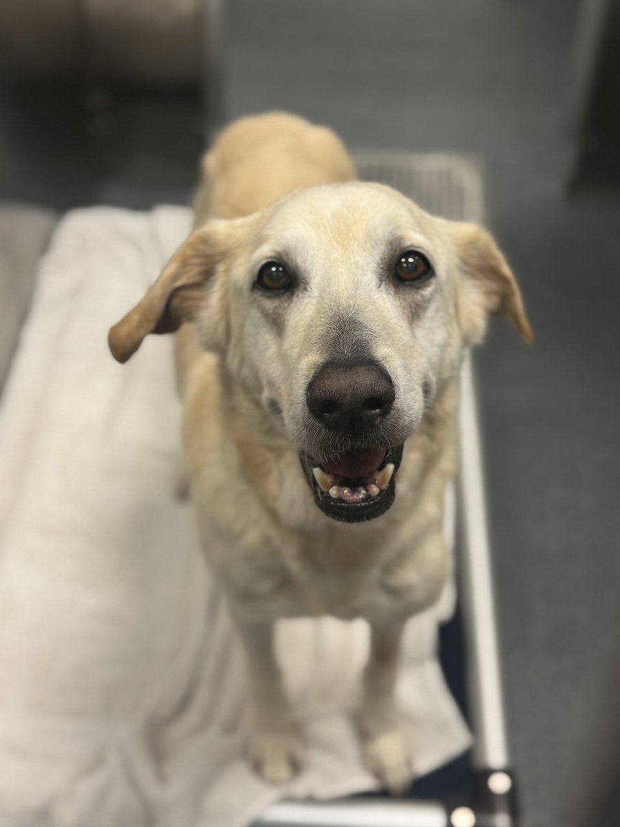 Suspense tweet media