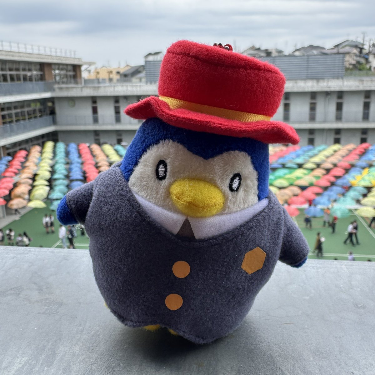ジェントルペンギングッズの販売についてお知らせです。 本日は開門と