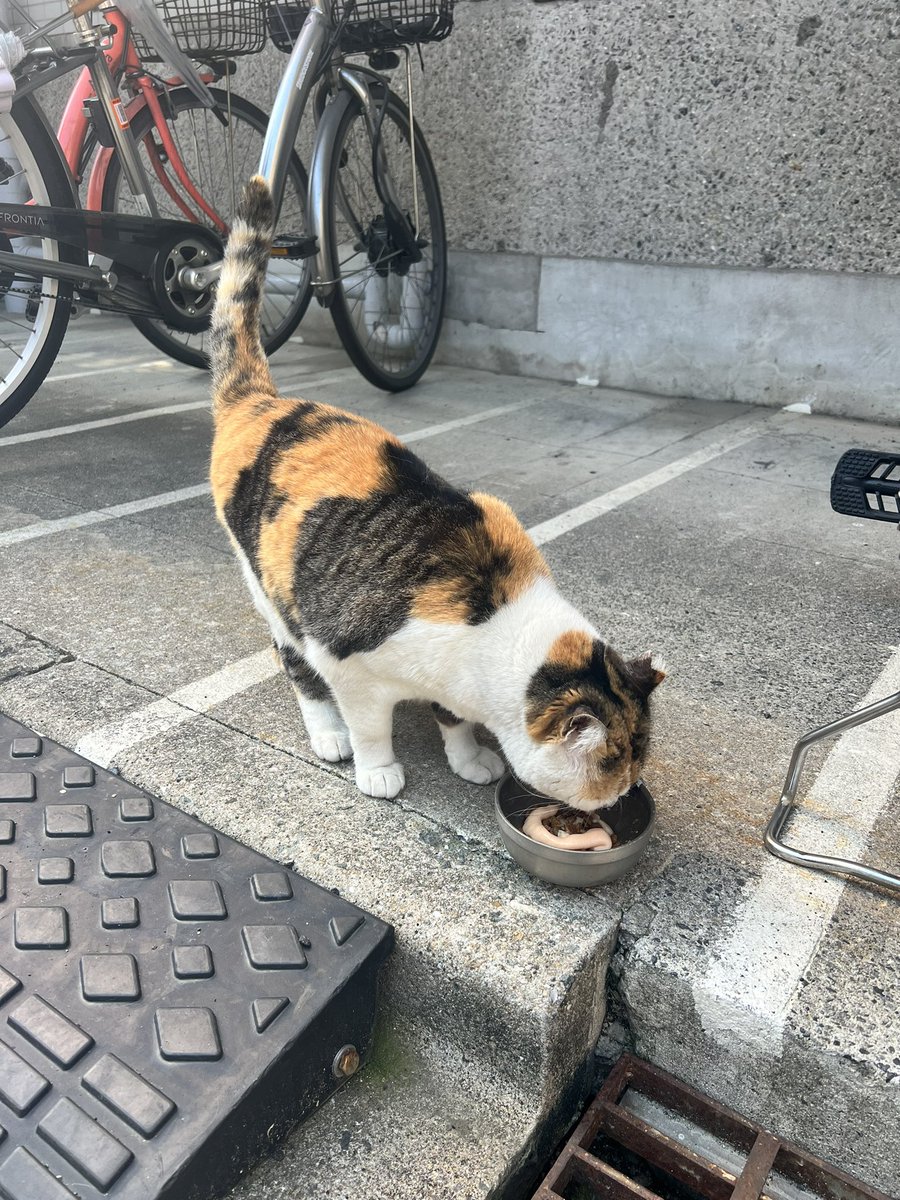 2XXX_wowow's tweet photo. おはようございます🌞 https://t.co/Oa7c46sIRE