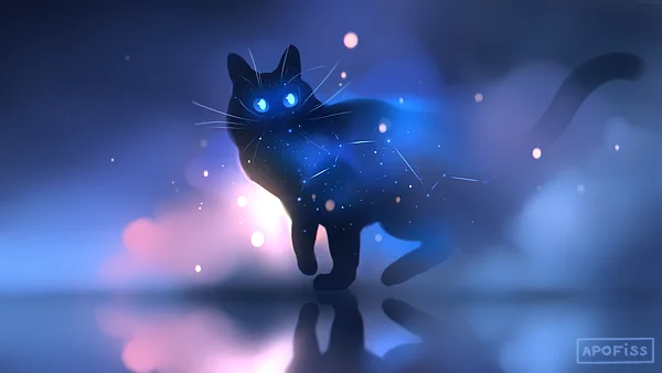 Black void cat ₍ ^. .^₎⋆˙⟡ 