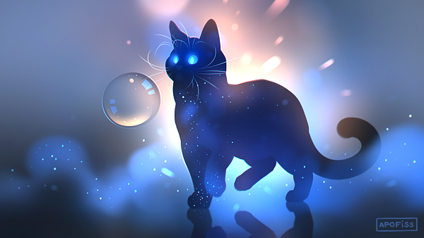Black void cat ₍ ^. .^₎⋆˙⟡