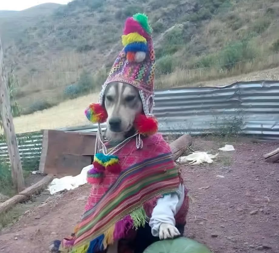 Mi Spotify solo pasa de Lali a Cazzu