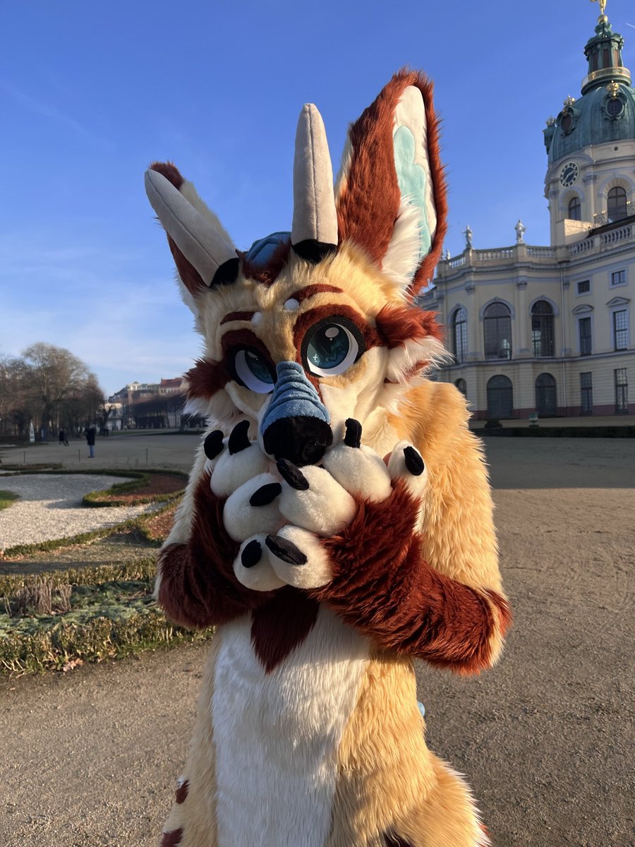 CoVahr 🦊🐉🎹 tweet media