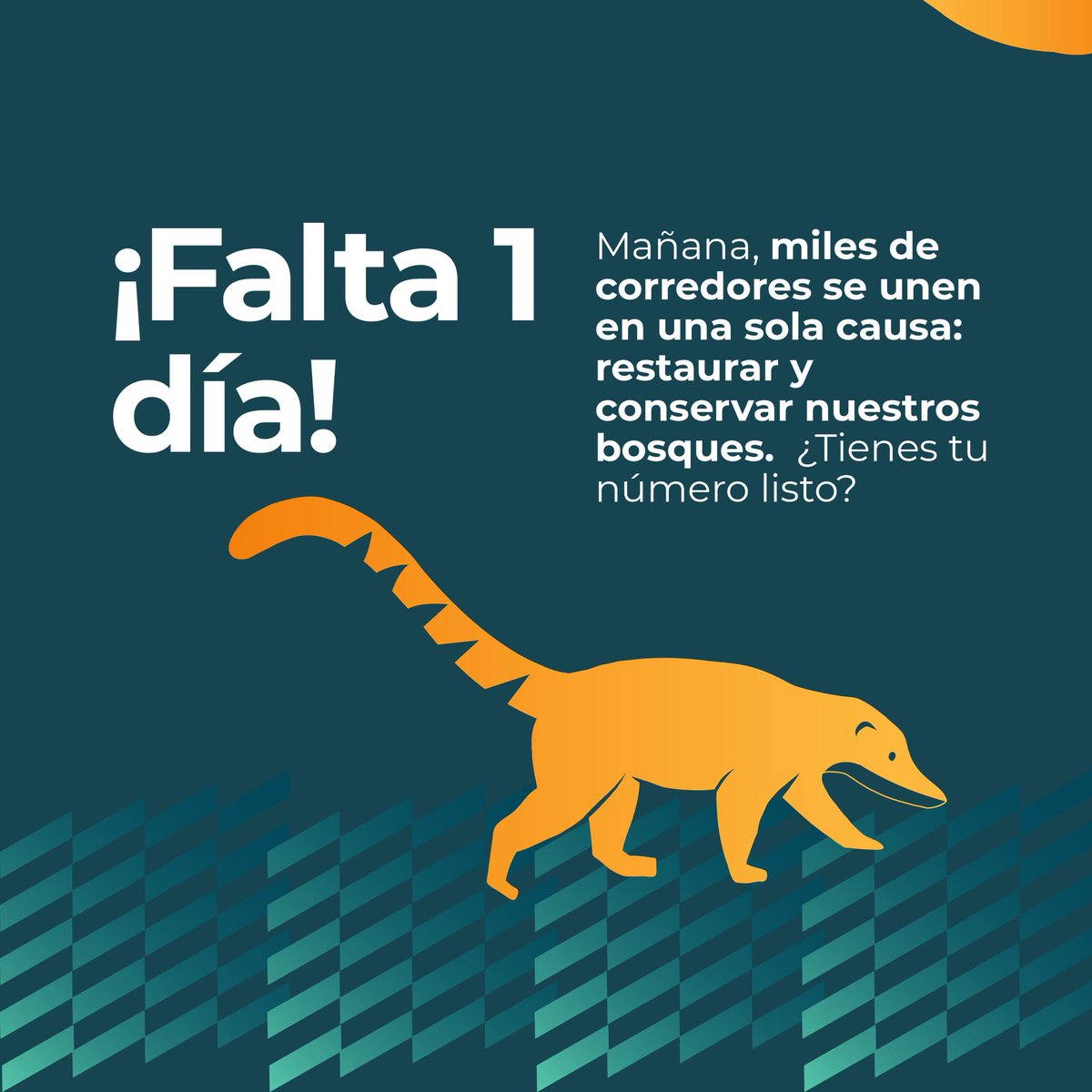 🔥 ¡Mañana es el gran día! La carrera más verde del año está a punto de comenzar. 🌳🏃‍♂️

¡Nos vemos en la línea de salida!