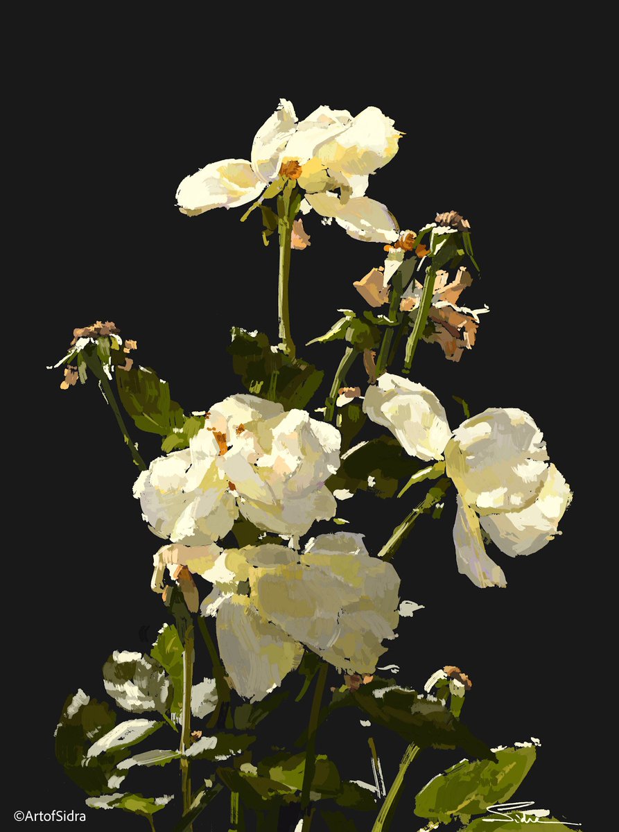 Artofsidra's tweet image. 🤍
#Pleinairpril #stilllife #procreate #illustration #kerala #roses