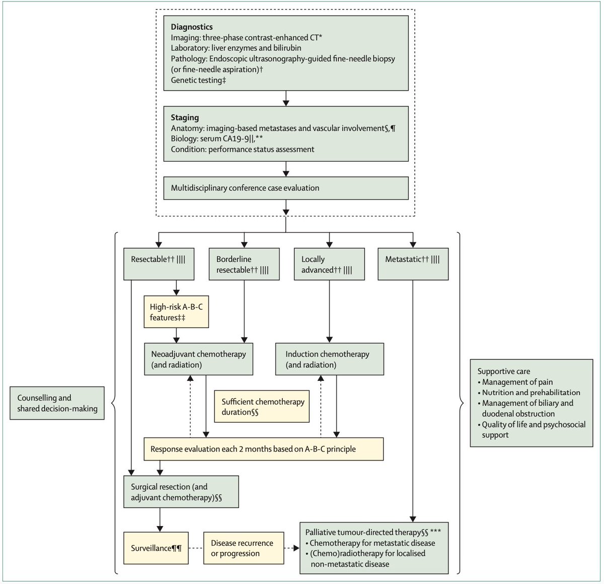 diegoadiazg's tweet photo. 🚨 Pancreatic cancer: Urgent need for novel therapies. 

Pancreatic cancer has a median survival of 4 months and a 5-year survival of 13%.
Surgery + chemotherapy remain key, but new therapies are urgently needed as incidence rises.

📖 @TheLancetOncol @TFStoop @MarcBesselink 
👉🏻 https://t.co/ZSClLJCaWK