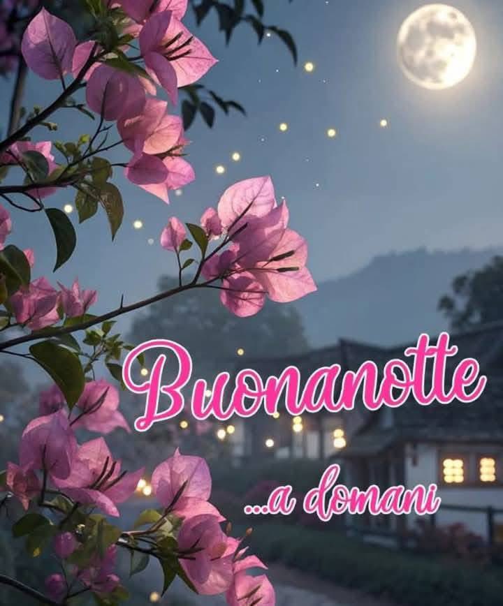 RITABIANCHi56 tweet media