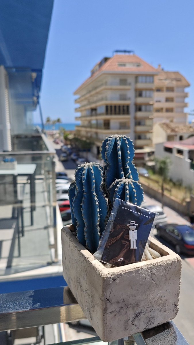Ysb_off's tweet photo. Sunny days in Mijas with my CryptoMexas pin by @crypto_citizens.
The spirit of explorers, travelers, and dreamers lives on — wherever the journey takes us.

Stay tuned… Tripers is coming. #Web3 #Travel #Tripers https://t.co/seBtH2Wzch