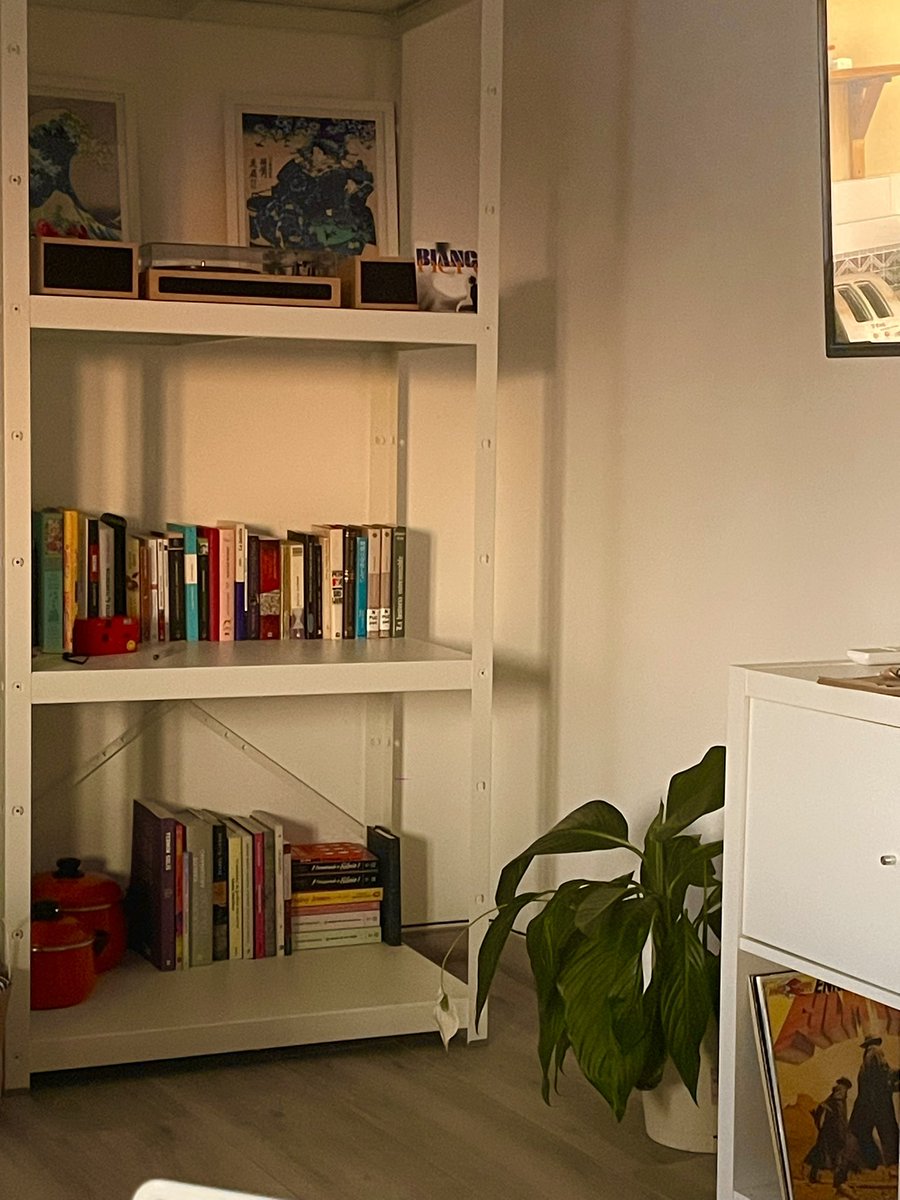 aún estamos aprendiendo a que las plantas no se nos mueran  ✨🏡