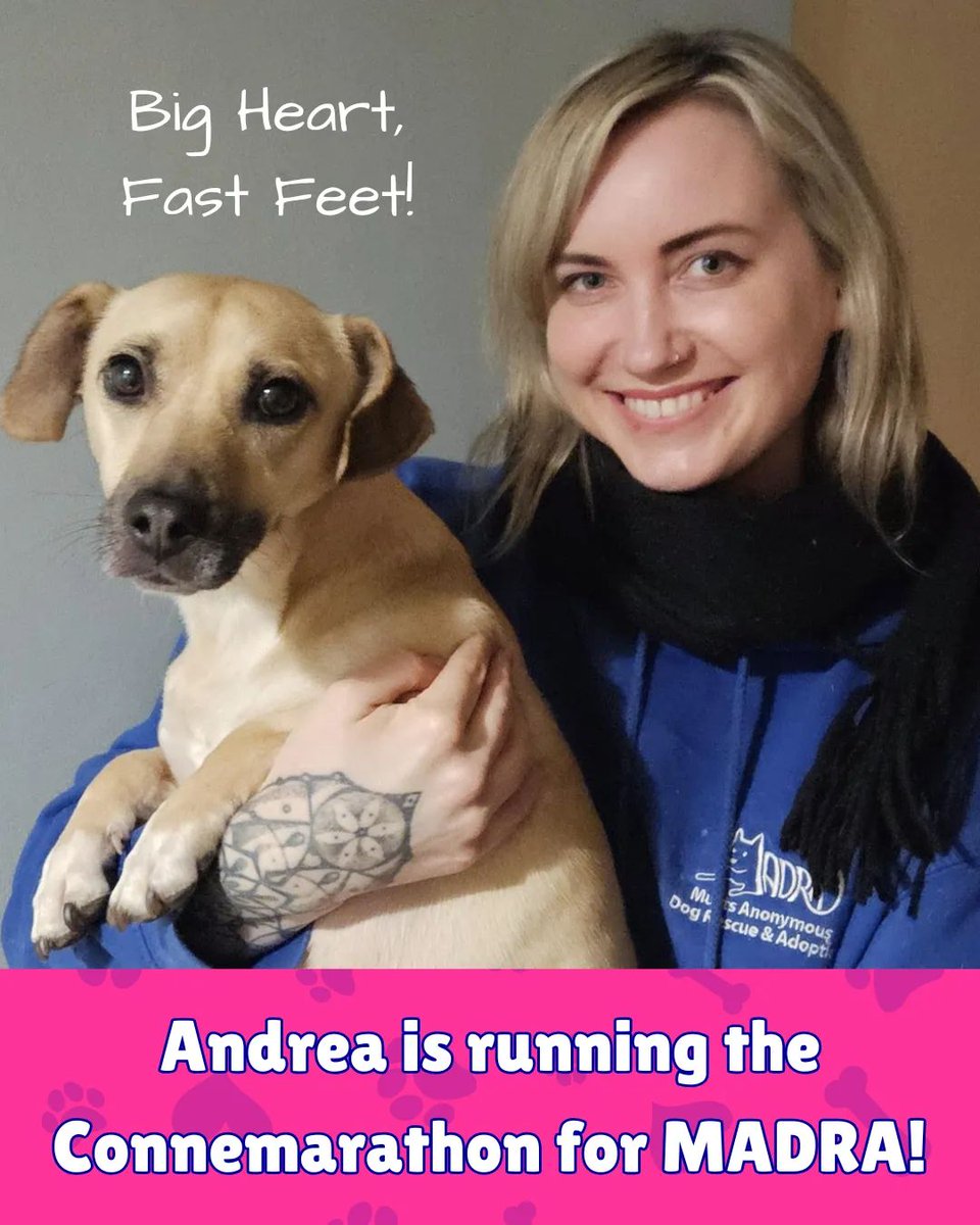 MADRADogRescue's tweet photo. 🌟 Best of luck to Andrea running the #Connemarathon tomorrow!

Will you support Andrea as she helps raise money for MADRA? 

Every euro counts for the #dogs &amp; #puppies in our care 🐾🙏

https://t.co/IlYLm9GDxT

💙 Thank you 💙

#AdoptDontShop
#rescuedog #KindnessMatters https://t.co/nbAUtkKbQR