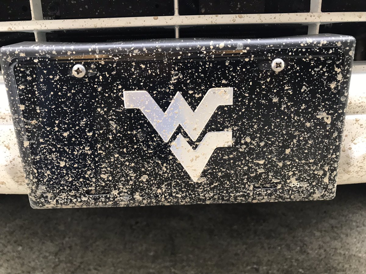 herdHater's tweet photo. #Mudmen Outdoors in the WV 📺 https://t.co/DHXEzvPiic