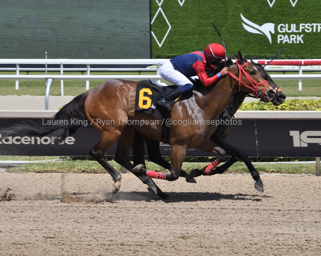 VideoHipico (@videohipico) on Twitter photo <a href="/zayas_edgardo/">Edgardo Zayas</a> <a href="/Americanequus/">American Equus</a> <a href="/micah_husbands/">Micah Husbands</a> <a href="/markecasse/">Mark Casse</a> Todo Fino (CHI) fends off Amor Lejano (ARG) to deliver in race 5, <a href="/JosephTrejos29/">Joseph Trejos</a> is the winning rider and Eniel Cordero is the winning conditioner and owner. #GulfstreamPark #RoyalPalmMeet
Todo Fino (CHI) contiene a Amor Lejano (ARG) para responder en la 5.ª carrera, Joseph <a href="/zayas_edgardo/">Edgardo Zayas</a> <a href="/Americanequus/">American Equus</a> <a href="/micah_husbands/">Micah Husbands</a> <a href="/markecasse/">Mark Casse</a> Todo Fino (CHI) fends off Amor Lejano (ARG) to deliver in race 5, <a href="/JosephTrejos29/">Joseph Trejos</a> is the winning rider and Eniel Cordero is the winning conditioner and owner. #GulfstreamPark #RoyalPalmMeet
Todo Fino (CHI) contiene a Amor Lejano (ARG) para responder en la 5.ª carrera, Joseph