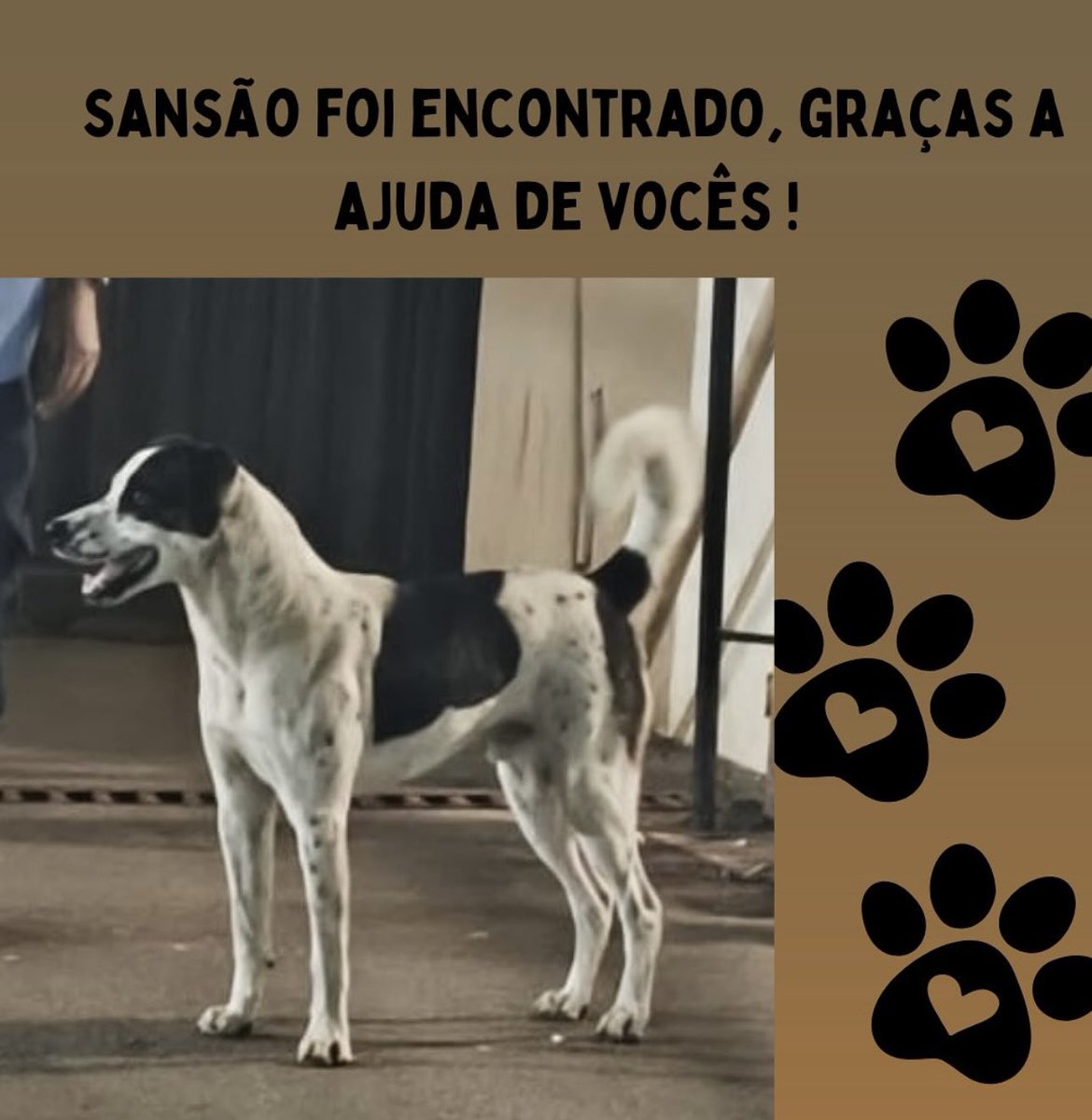 Opa Bichos tweet media