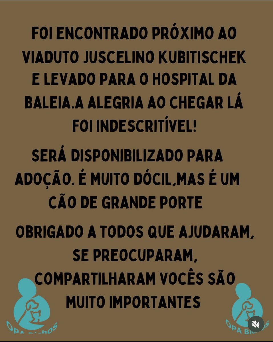 Opa Bichos tweet media