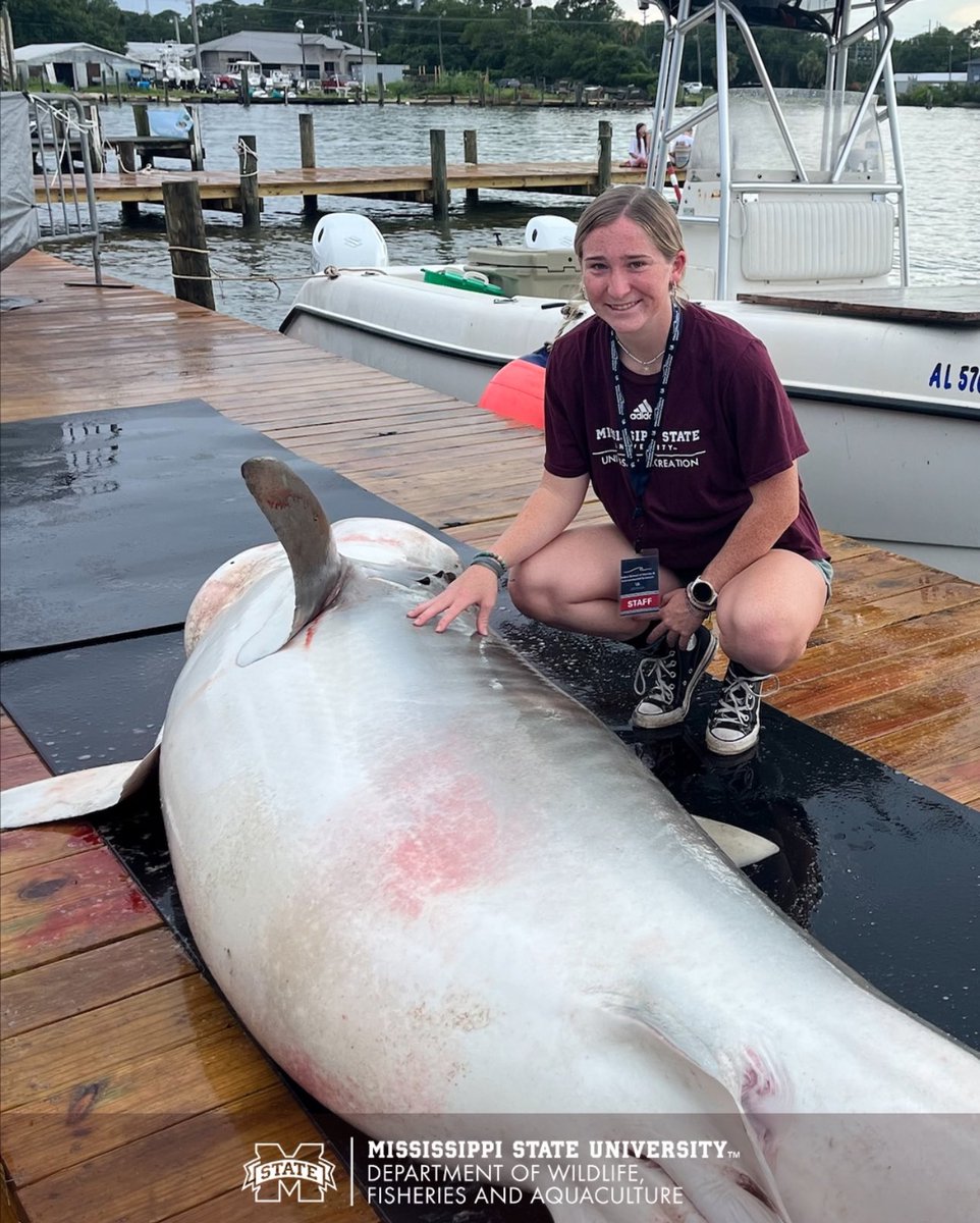 MSU Wildlife, Fisheries, and Aquaculture (@msuwfa) on Twitter photo Congrats to <a href="/msuwfa/">MSU Wildlife, Fisheries, and Aquaculture</a> junior Victoria Greene for winning the Gulf Coast Research Special Area Competition at the <a href="/msstate/">Mississippi State</a> Undergraduate Research Symposium! Out of 270+ entries, her project was one of just two selected!
Learn more ⬇️
🔗 gulfscholars.msstate.edu/Students
#MSUWFA #MSUCFR Congrats to <a href="/msuwfa/">MSU Wildlife, Fisheries, and Aquaculture</a> junior Victoria Greene for winning the Gulf Coast Research Special Area Competition at the <a href="/msstate/">Mississippi State</a> Undergraduate Research Symposium! Out of 270+ entries, her project was one of just two selected!
Learn more ⬇️
🔗 gulfscholars.msstate.edu/Students
#MSUWFA #MSUCFR