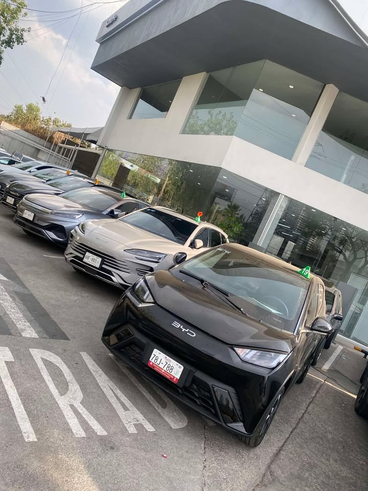cuartodemillamx's tweet photo. Amigazooo. Mira nada mas lo que me encontre a las afueras de #BYD #santafe.

Puro modelo reciente con fallas.

En los cristales dice la falla:
*Revision de sensores
*aire acondicionado no enfria
* ruido en la parte baja 
*leyenda compruebe generador de energia

Hay como 20 carros y camionetas ahi parados. 

Solo ya no alcance a tomarle fotos a todos por que me la salieron hacer de pedo por tomarles fotos.