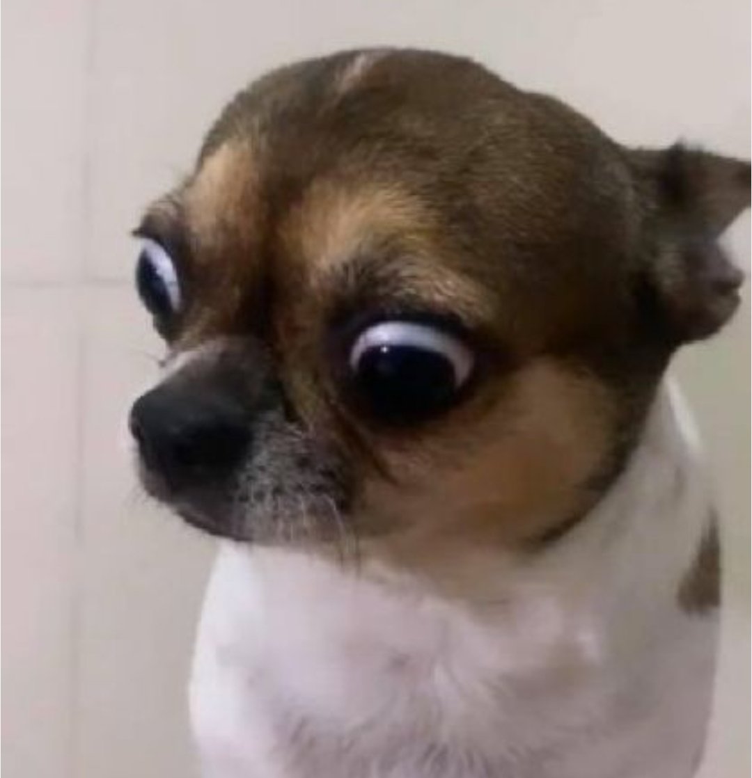 masterchainzz's tweet image. Scenes when Union and Succinct gba 😭.

All hospitals will be full 😭.