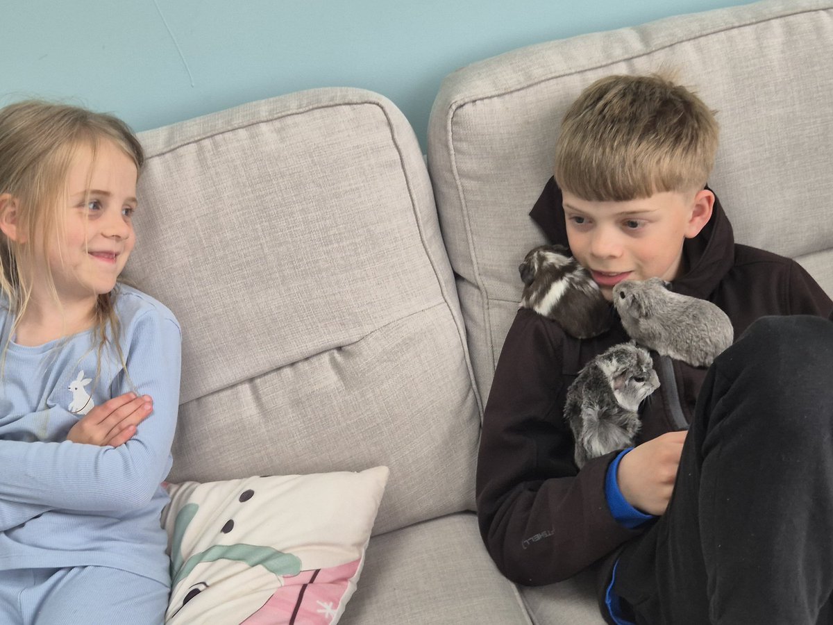 HopeBinghamFootballer (@hopefootballer) on Twitter photo 