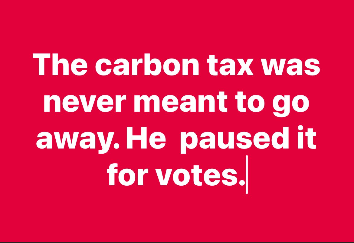 Diana Murphy tweet media