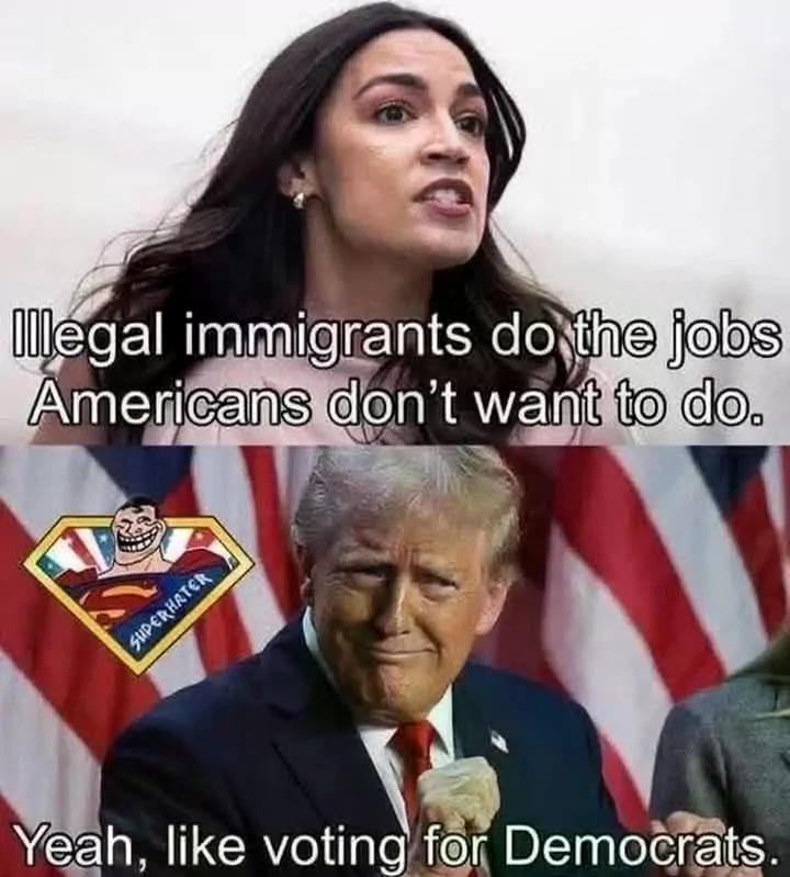 CitizenCallerUS's tweet photo. @StephenM They need immigrants to do jobs that Americans won't do—like voting for Democrats. https://t.co/7JDFXUOjpA