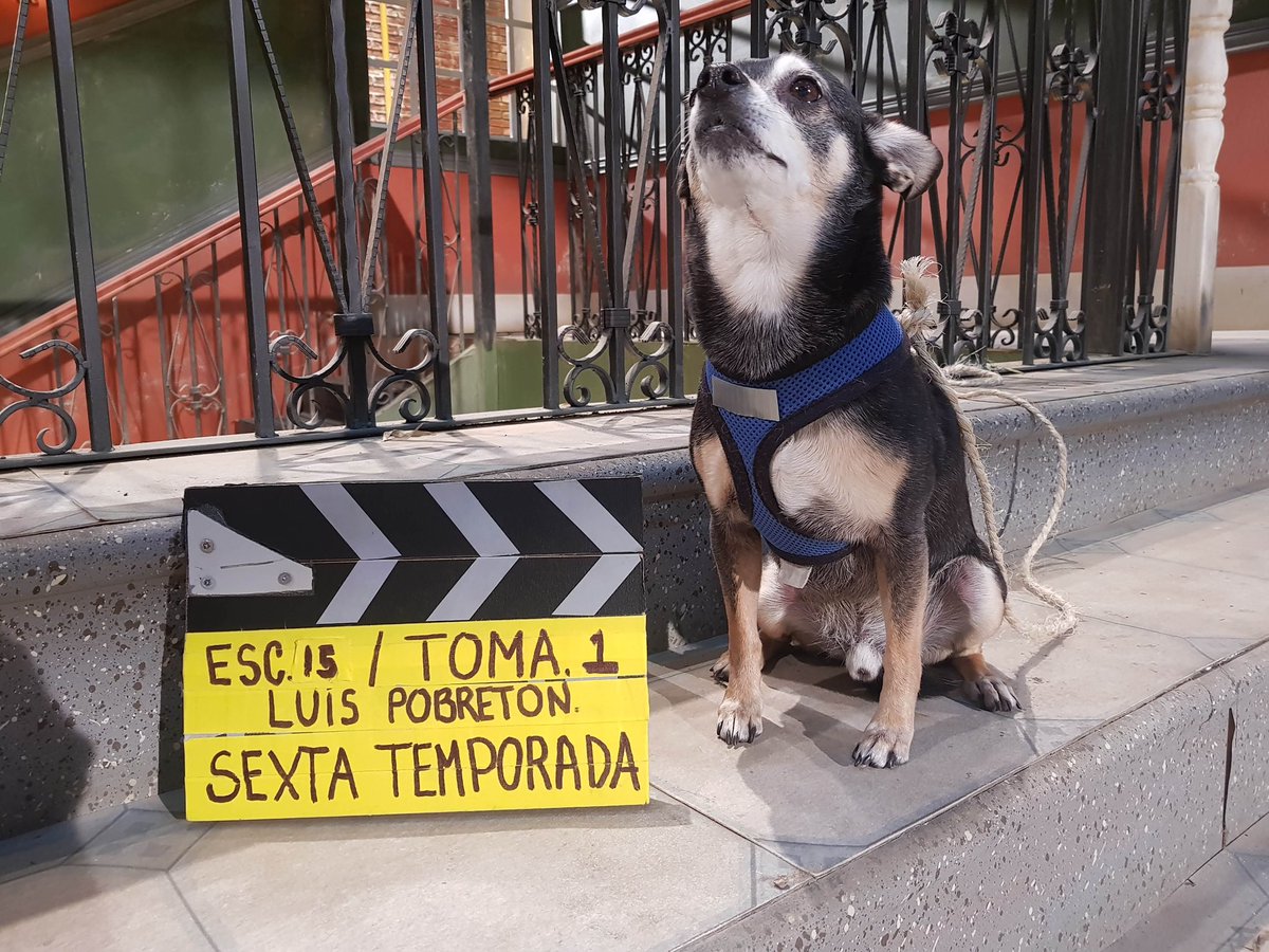 Eduardo España tweet media