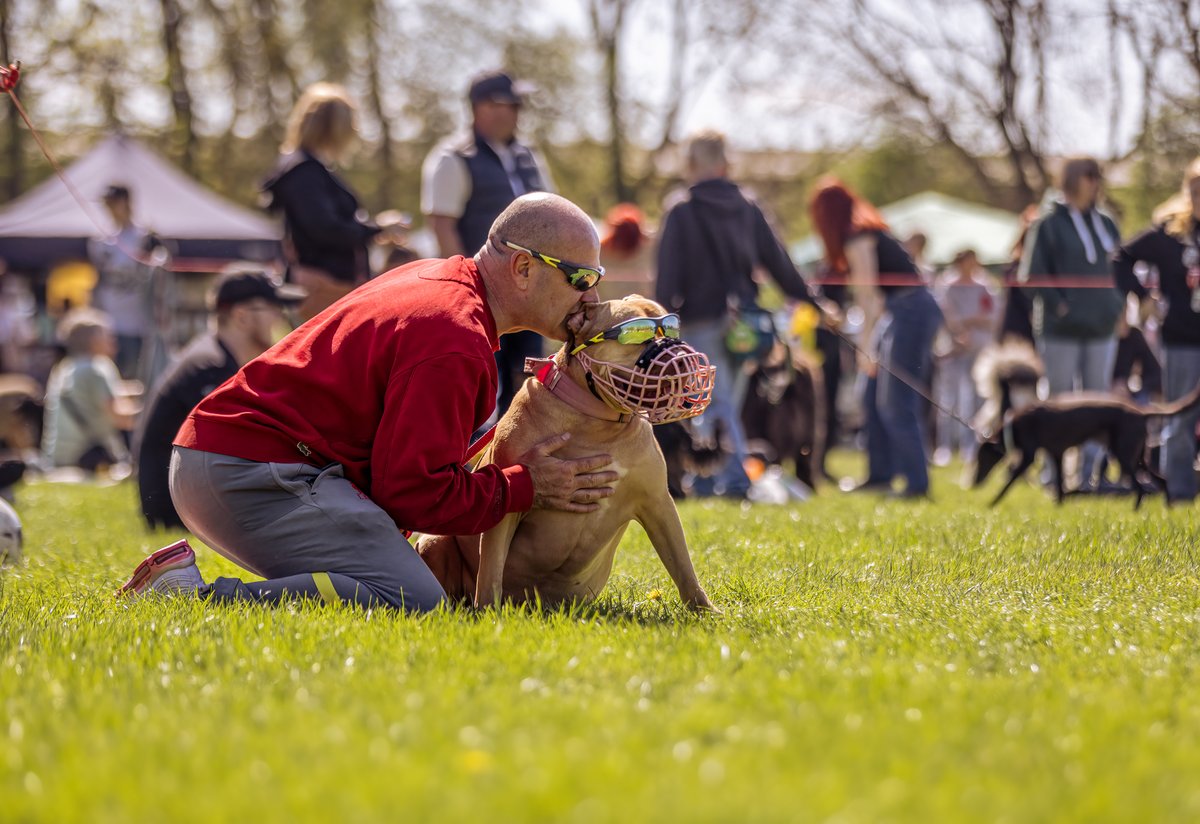 MissDPetography tweet media