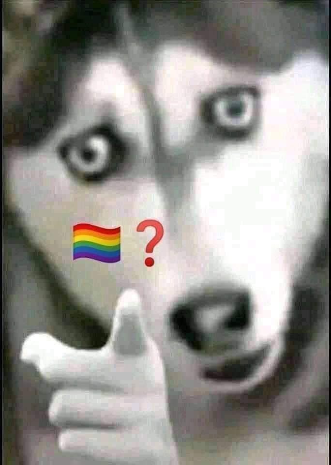 profitable trader. tweet media