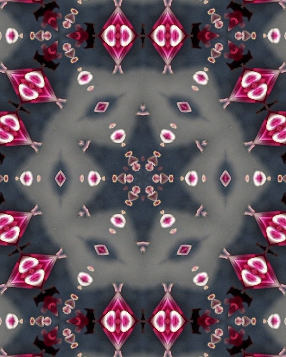 #KaleidoSaturday tweet media