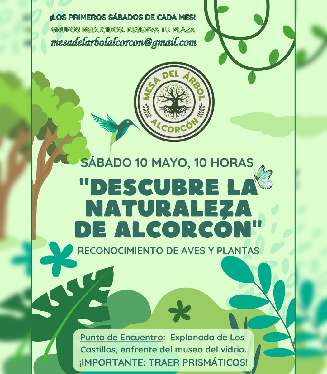 Sábado 10 de mayo, 10 h. DESCUBRE LA NATURALEZA. RECONOCIMIENTO DE AVES Y PLANTAS #Alcorcon Primeros sábados de mes. IMPORTANTE: GRUPOS REDUCIDOS. Reserva tu plaza escribiendo a mesadelarbolalcorcon@gmail.com Punto de encuentro: Explanada de Los Castillos, frente al MAVA 🌳🐦