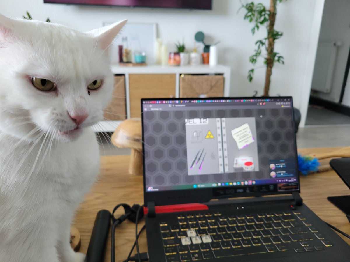 A late Gmonchel to you guys 🐢💜

Franklin, pissed that I've been busy most of today cooking 🔥👀