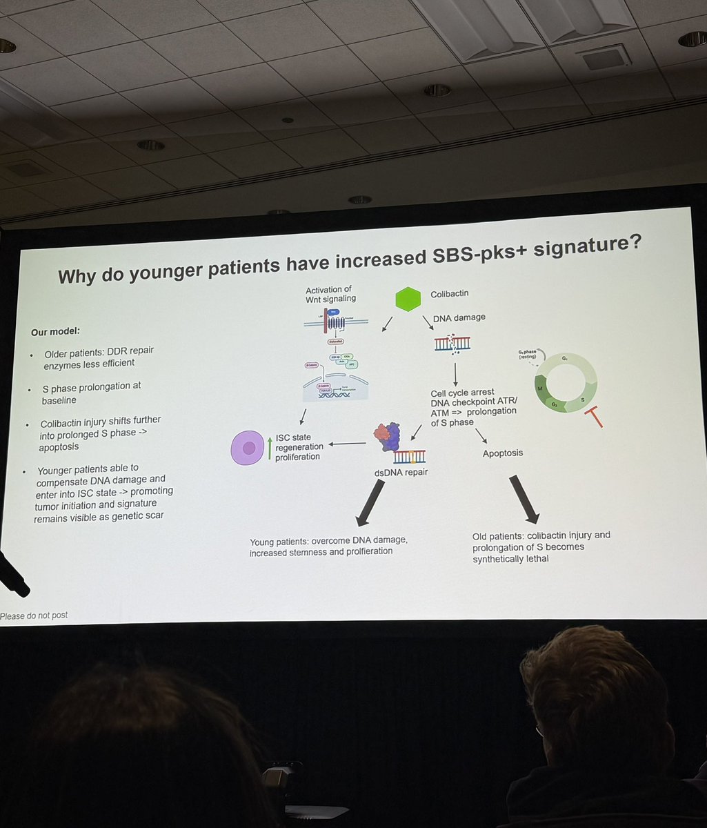Fascinating insights from MSK gastrointestinal medical oncologist <a href="/KarunaMDPhD/">Karuna Ganesh</a> on the role of #Ecoli in age-dependent cell cycle entry for early onset #colorectal cancer initiation. #AACR25 <a href="/AACR/">AACR</a>