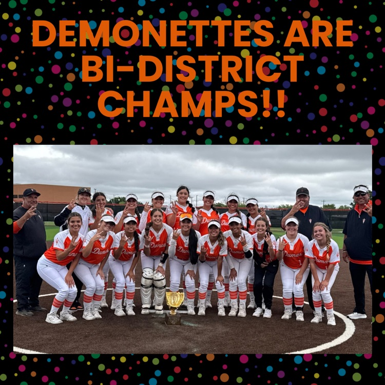 DEMONETTES WIN!!!  🏆🎉🥎