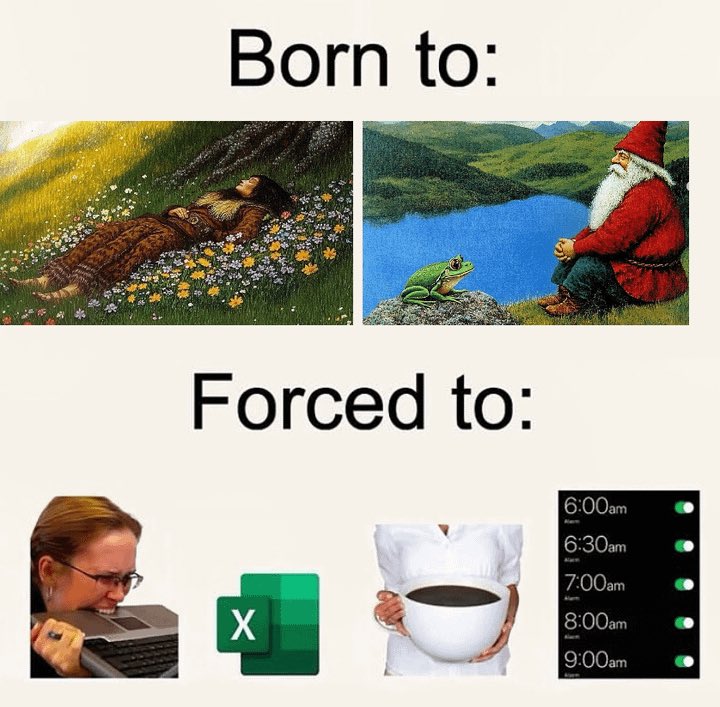 memechaotic's tweet image. 